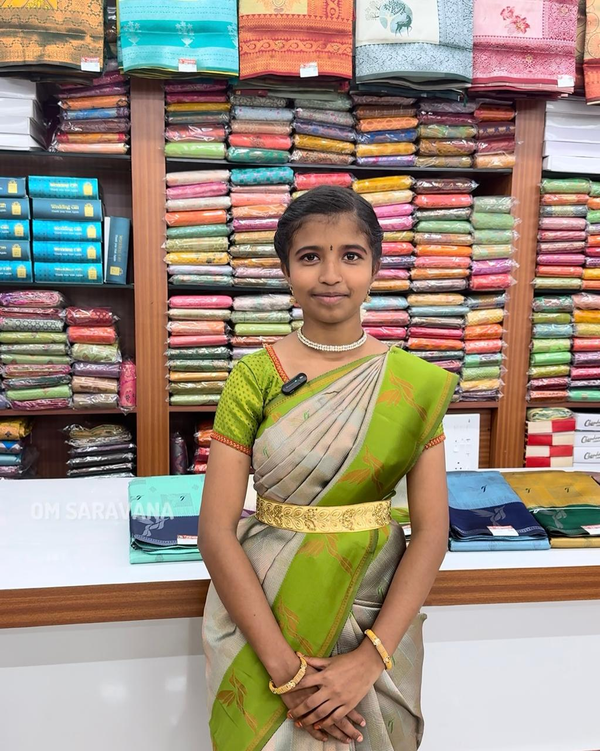 Diana silk saree